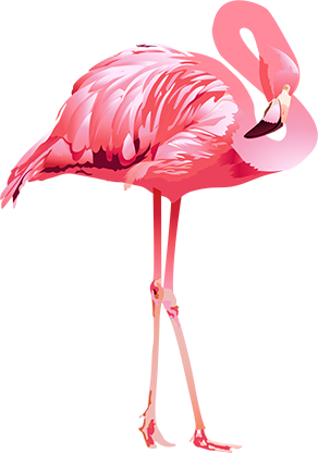 left-flamingo