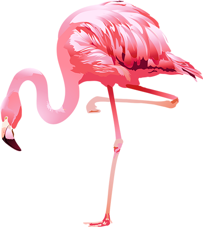 right-flamingo